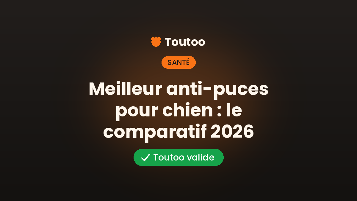Meilleur anti-puces pour chien : le comparatif 2026
