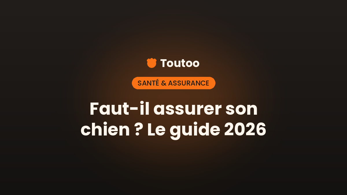 Faut-il assurer son chien ? Ce qu’il faut savoir en 2026