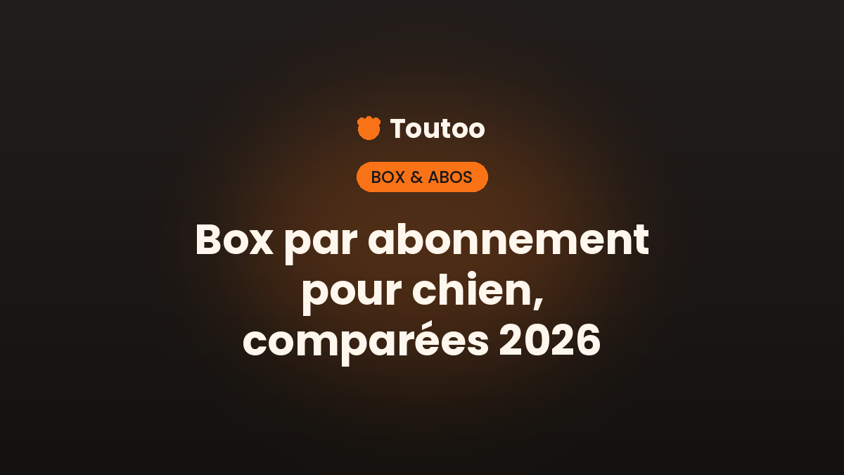 Les box par abonnement pour chien, comparées (2026)