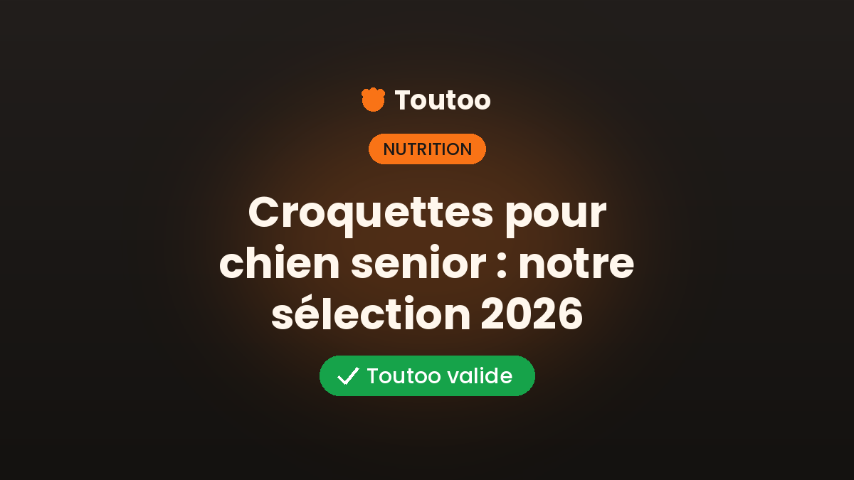 Croquettes pour chien senior : notre sélection 2026