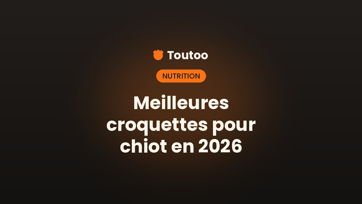 Meilleures croquettes pour chiot en 2026 : comment bien choisir
