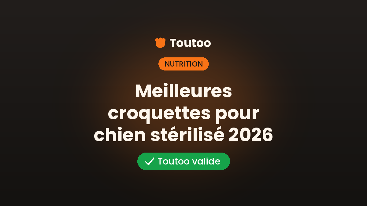Meilleures croquettes pour chien stérilisé en 2026 : le comparatif Toutoo