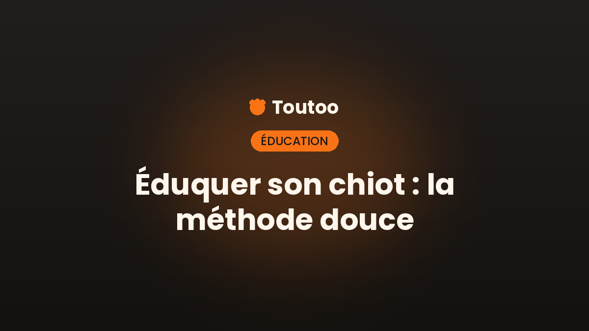 Éduquer son chiot : la méthode douce qui marche