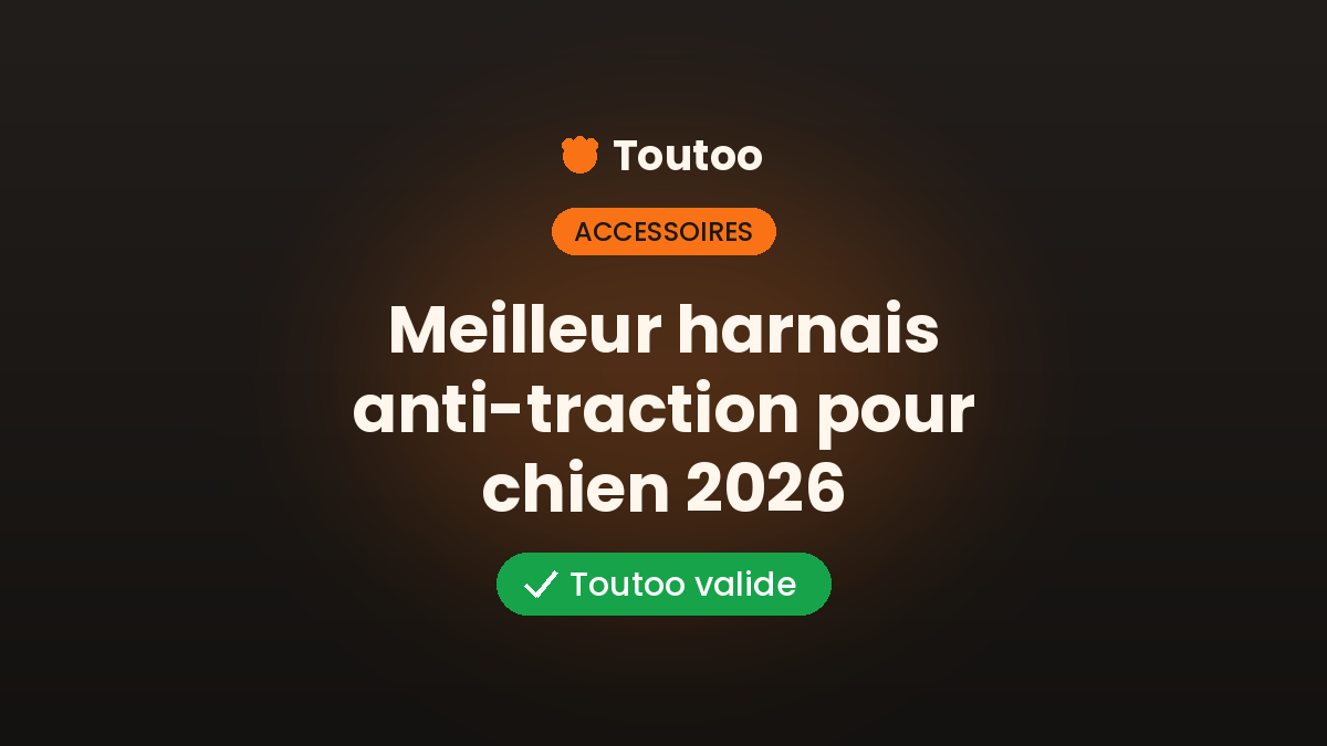 Meilleur harnais anti-traction pour chien : le guide (2026)