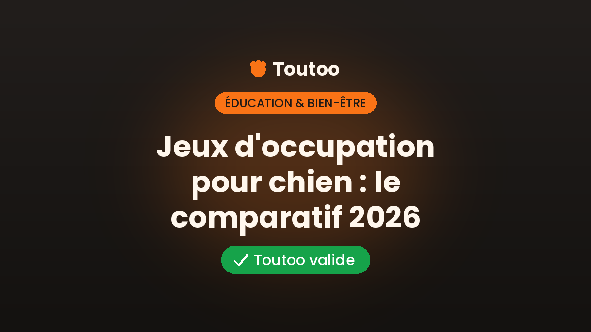 Jeux d&rsquo;occupation pour chien : le comparatif 2026