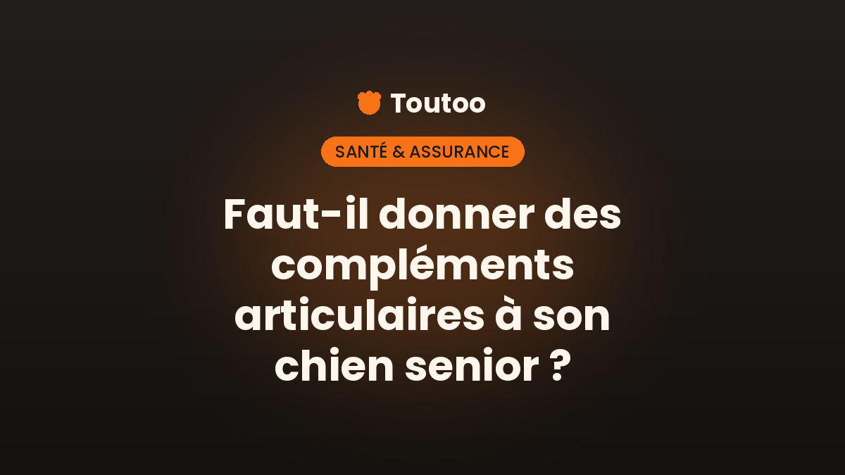Faut-il donner des compléments articulaires à son chien senior - Toutoo