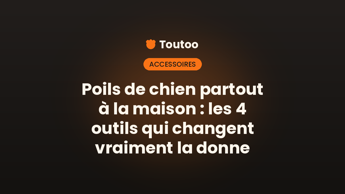 Perte de poils du chien : les 4 brosses qui changent tout - Toutoo