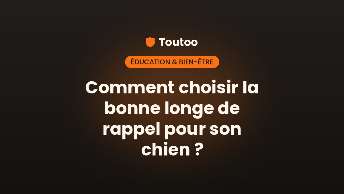 Comment choisir la bonne longe de rappel pour son chien ?