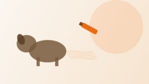 FURminator Brosse Double Face