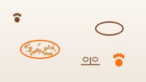 Balance de cuisine numérique Amazon Basics