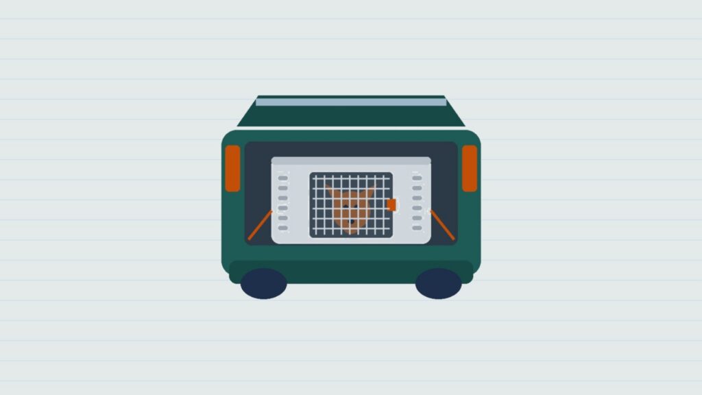 Illustration : une caisse de transport grise avec un chien derrière la grille, sanglée dans le coffre ouvert d'une voiture verte